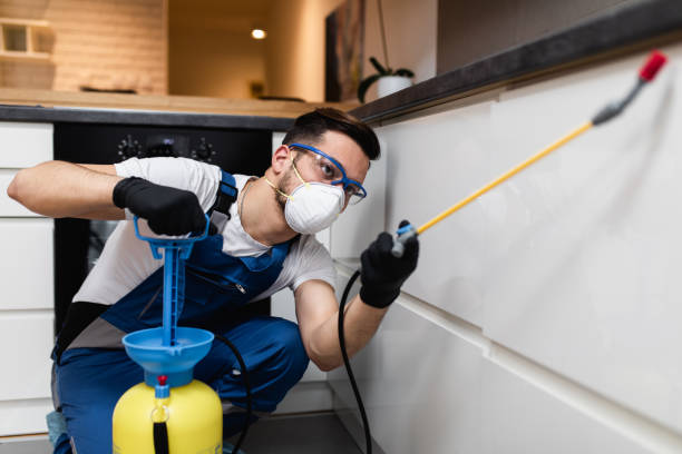 Best Pest Inspection Near Me  in Garden Ridge, TX