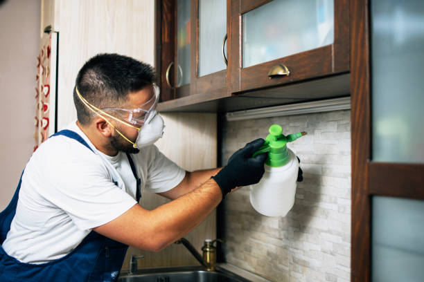 Best Exterminator Services  in Garden Ridge, TX