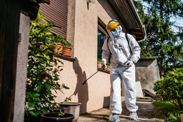 Best Pest Prevention Services  in Garden Ridge, TX