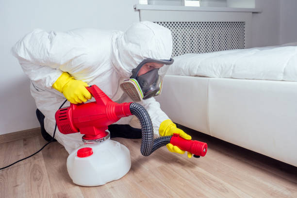 Best Bed Bug Extermination  in Garden Ridge, TX
