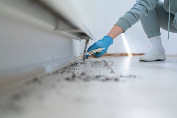Best Mosquito Control Services  in Garden Ridge, TX
